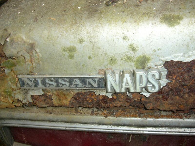 File:Nissan NAPS logos.JPG