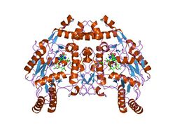 PDB 1fop EBI.jpg