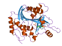 PDB 2oc9 EBI.png