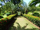 St. Vincent, Karibik - Botanical Garden of Kingstown - panoramio.jpg