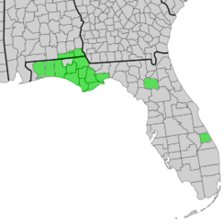 Map of Alabama and Florida with counties of distribution of Symphyotrichum chapmanii shaded in green: Alabama counties — Geneva and Houston; Florida counties — Alachua, Bay, Calhoun, Franklin, Gulf, Jackson, Liberty, Okaloosa, Santa Rosa, St. Lucie, Wakulla, Walton, and Washington