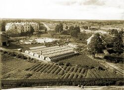 Töölö Malminkadulta, Helsinki 1907.jpg