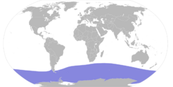 Thalassoica antarctica map.svg