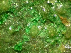 A transparent bright green mineral intermingles with a transparent yellow-green mineral.