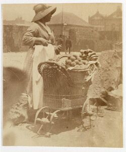 Woman selling fruit from small barrow Sydney, ca. 1885-1890 - photographed by Arthur K. Syer (5775144516).jpg