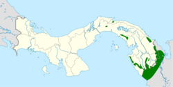 Zentrygon goldmani map.svg