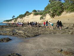 2Bio Field Trip Waiake.JPG