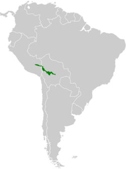 Andigena cucullata map.svg