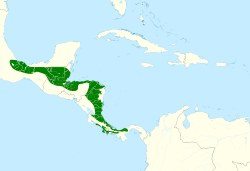 Automolus cervinigularis map.svg