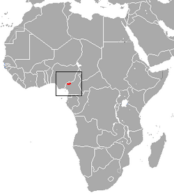Cameroonian Shrew area.png
