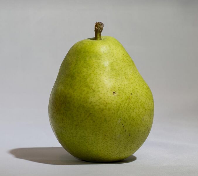 File:D'anjou pear.jpg