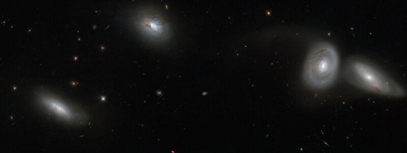 File:Hubble views bizarre cosmic quartet HCG 16.jpg