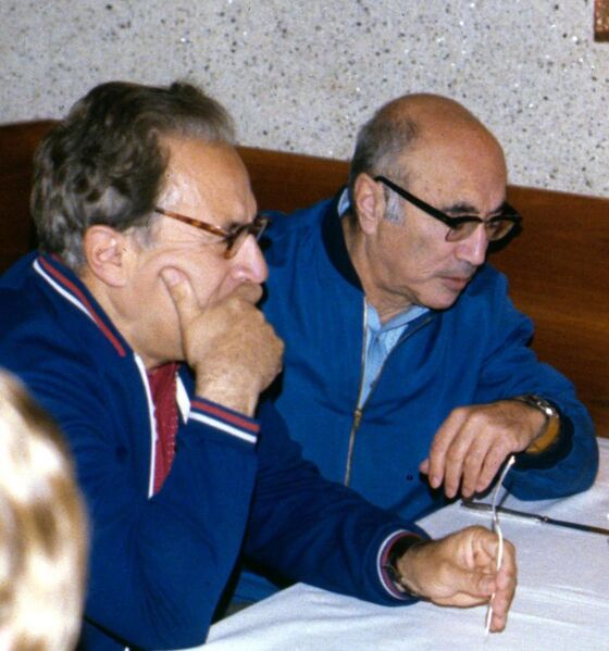 File:I. S. Shklovsky and Ya. B. Zel'dovich, 1977.jpg