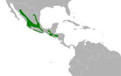 Myadestes occidentalis map.svg