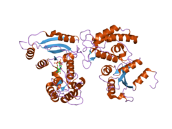 PDB 2pgl EBI.png