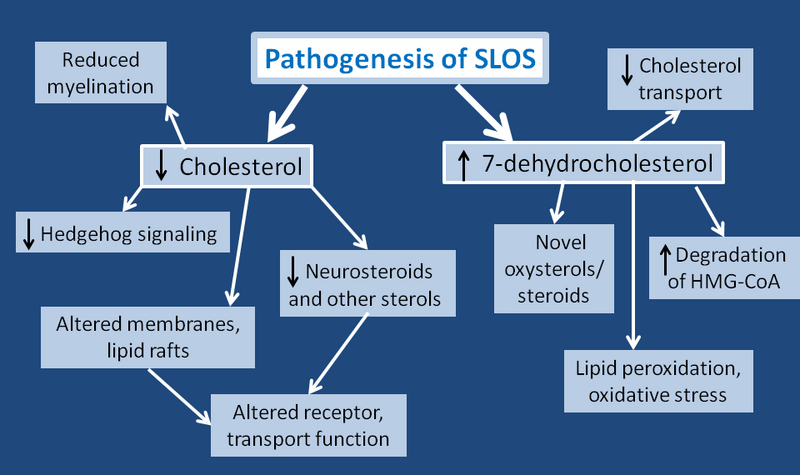 File:PathogenesisSLOS.png