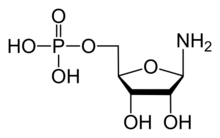 Phosphoribosylamine.svg