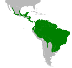 Piaya cayana map.svg