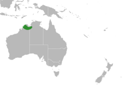 Plagiocarpus Distribution Map.svg