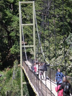 Puente colgante llamado la pasarela - panoramio.jpg