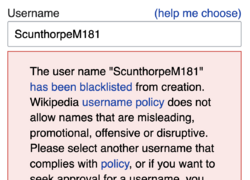 Scunthorpe problem (cropped).png