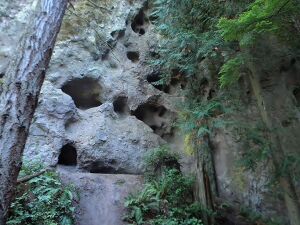 Tamanowas Rock NRHP 15000498 Jefferson County, WA.jpg