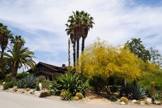 The Rodman Arboretum surrounds the Grove House at Pitzer College.
