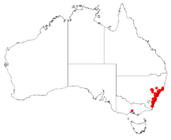 Macrozamia communis Dist Map3.png