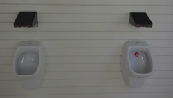Network interactive urinals