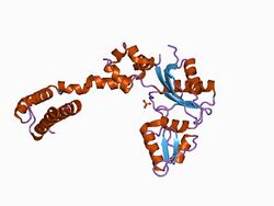 PDB 1bpd EBI.jpg