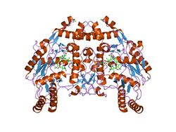 PDB 1dmj EBI.jpg