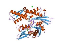 PDB 1kax EBI.jpg