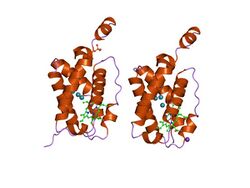 PDB 1s56 EBI.jpg