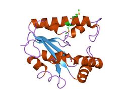 PDB 1zp6 EBI.jpg