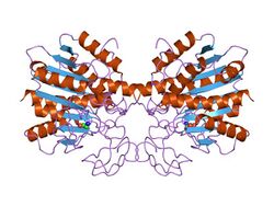 PDB 4cpa EBI.jpg