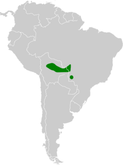 Phaethornis subochraceus map.svg