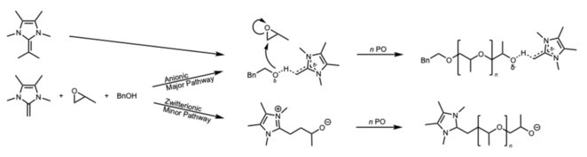NHOs can polymerize PO to form polyethers. For an unsubstituted NHO, there is a major anionic mechanism and a minor zwitterionic mechanism. Substituted NHOs only polymerize via the anionic pathway.[22]