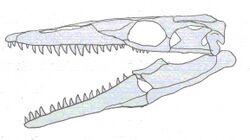Russellosaurus.jpg