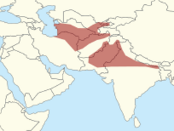 South West Asia location-Naja-oxiana.svg