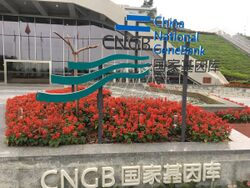 China National gene bank.jpg