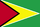 Flag of Guyana (2004).png