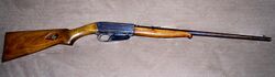Remington model 24.jpg