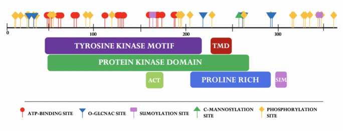 Domains