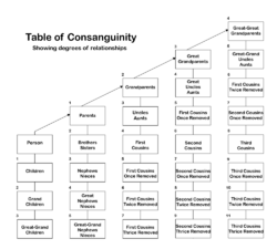 Table of Consanguinity showing degrees of relationship.svg