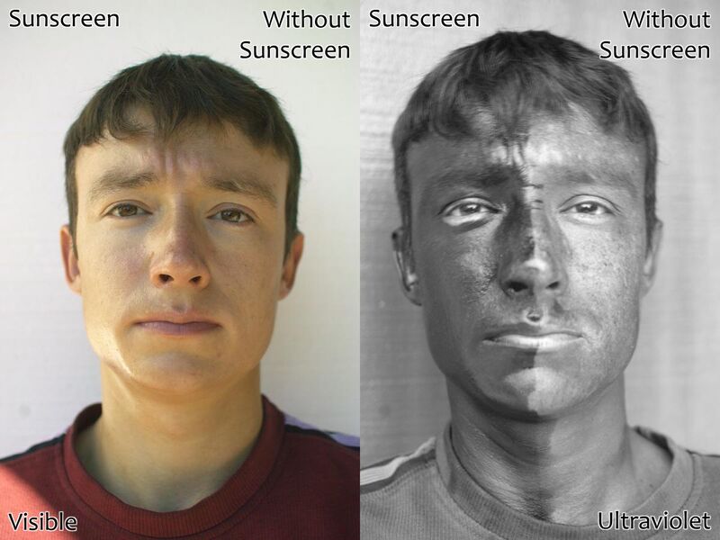 File:UV and Vis Sunscreen.jpg