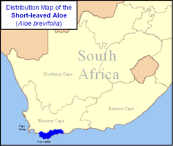 Aloe brevifolia - Distribution Map - South Africa.png
