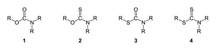 Carbamates-thiocarbamates-dithiocarbamates-general-2D.png