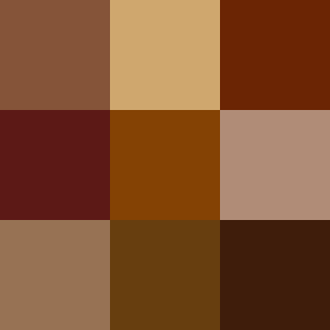 File:Color icon brown v2.svg