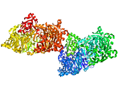Crystal Structure of Nitrous Oxide Reductase from P. Denitrificans.png