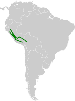 Grallaria andicolus map.svg